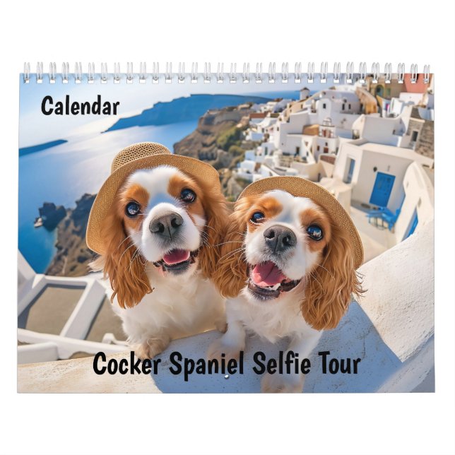 Calendário de Viagens - Tour de Selfie do Cocker S (Capa)