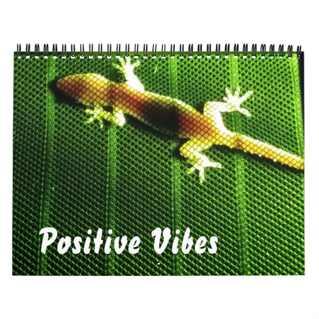 Calendário de Vibes Positivos (Capa)