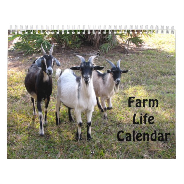 Calendário de Vida da Fazenda (Capa)