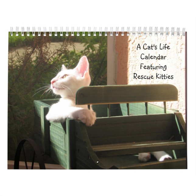 Calendário de Vida de Um Gato (Capa)