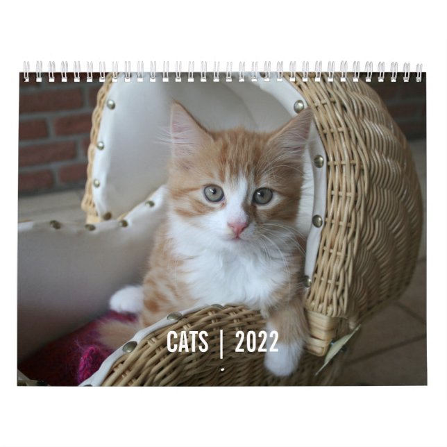 Calendário de Vida do Cat (Capa)