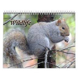 Calendário de Vida Selvagem