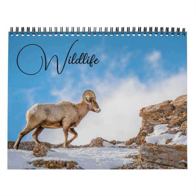 Calendário de Vida Selvagem com Legendas (Capa)