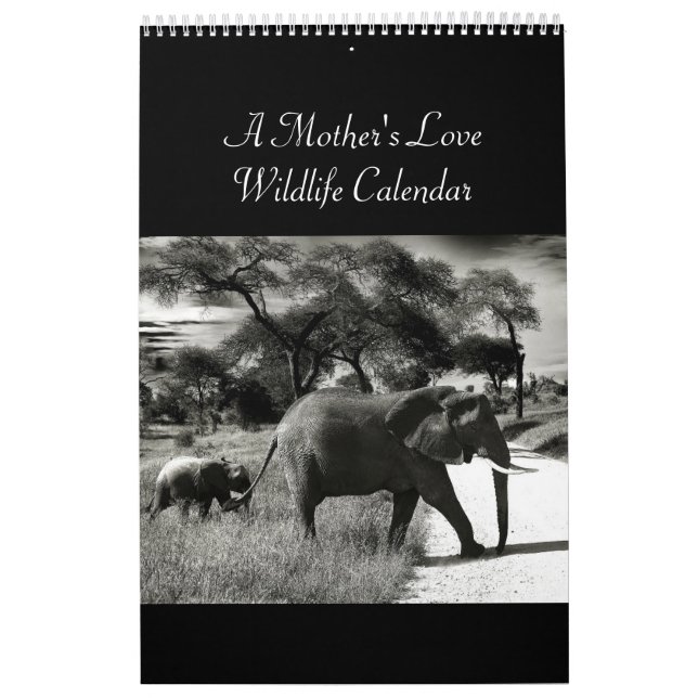 Calendário de Vida Selvagem de Amor de Mãe (Capa)
