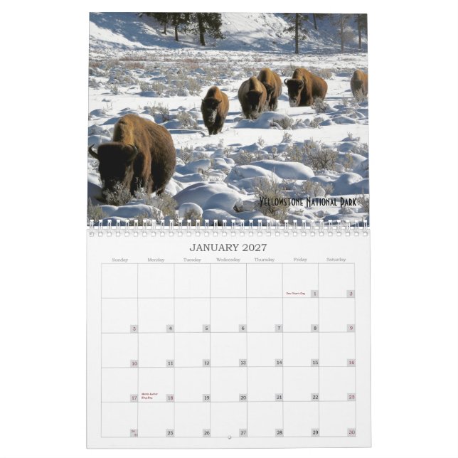 Calendário de Vida Selvagem de Terras Públicas dos (Jan 2027)