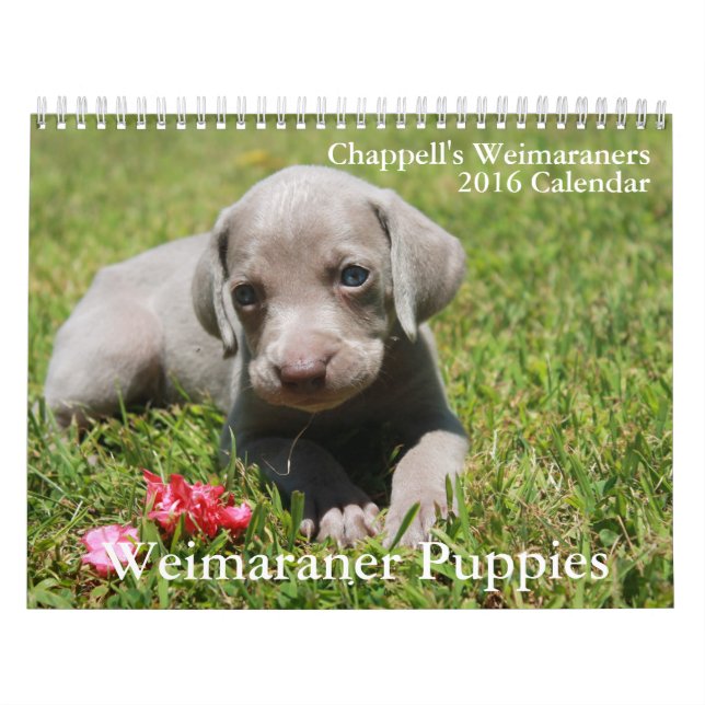 Calendário de Weimaraner (Capa)