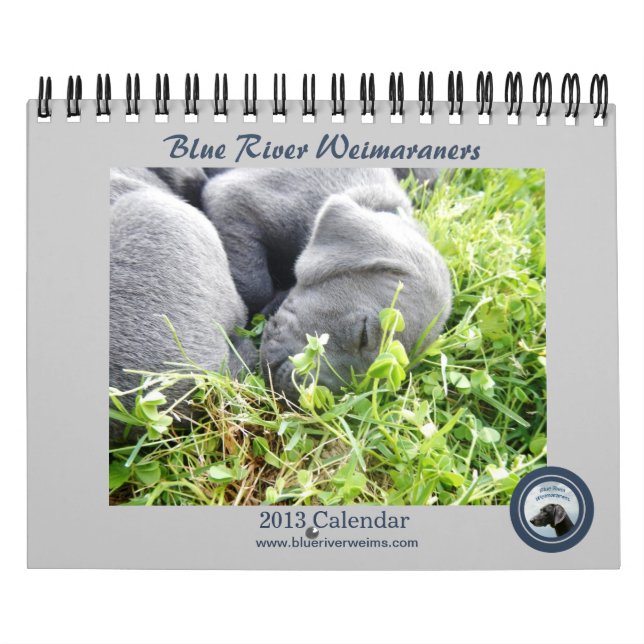 Calendário de Weimaraners do rio de 2013 azuis (Capa)