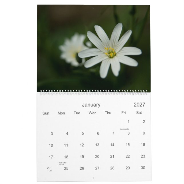 Calendário de Wildfowers 2009 do europeu (Jan 2027)