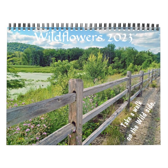 Calendário de Wisconsin Wildflower 2023 (Capa)