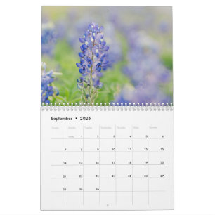 Calendário Decor de Fotos do Texas Hill Country