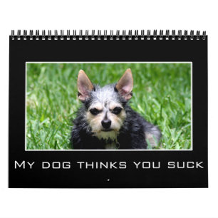 Calendário Desânimo 2015 & humor de Demotivational