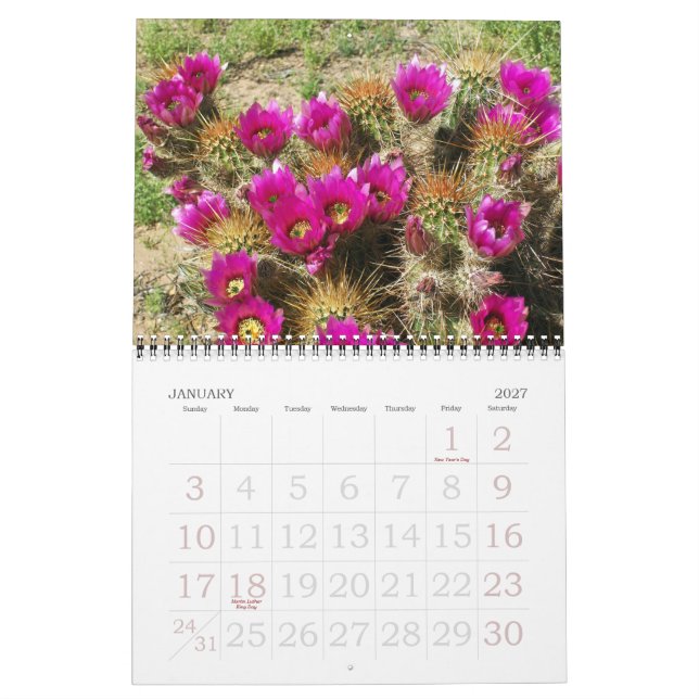 CALENDÁRIO DESERTO EM BLOOM (Jan 2027)