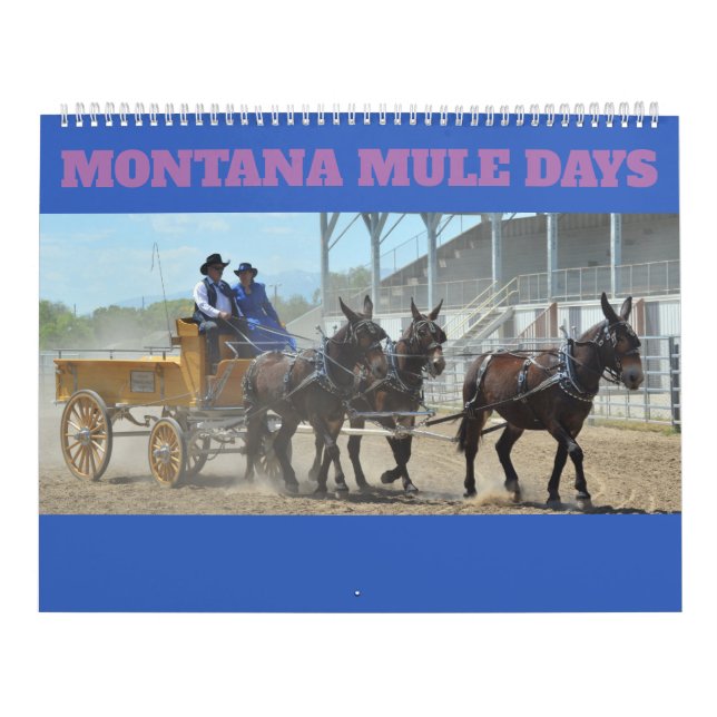 Calendário Dias da mula de Montana (Capa)