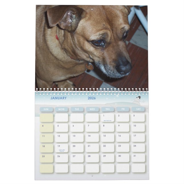 Calendário Dias de cão 2010 de China (Jan 2026)