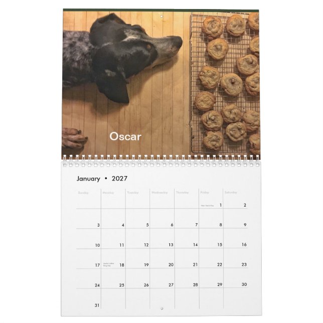 Calendário Distrito 2019/2020 do cão (Jan 2027)