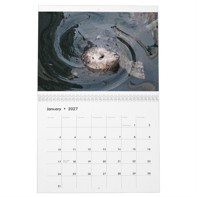 Calendário Diversidade Animal (Jan 2027)