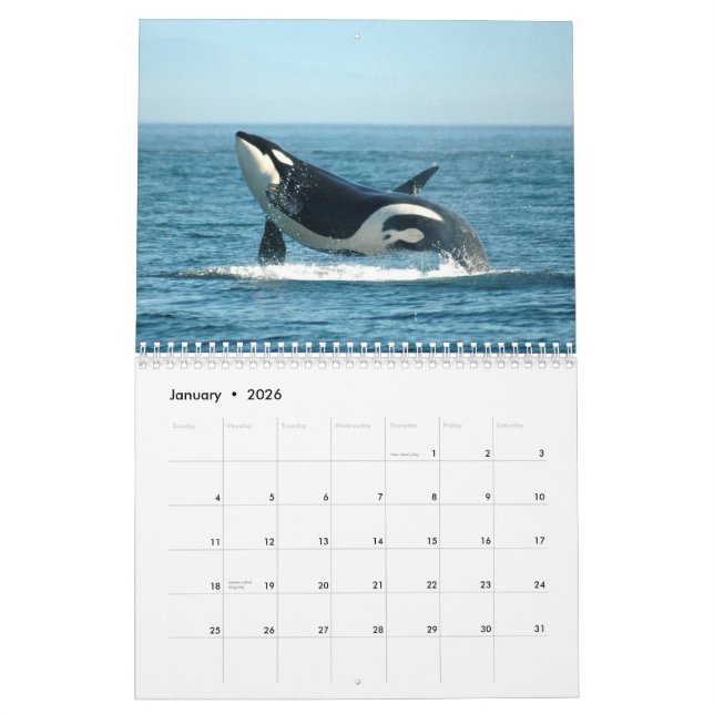 Calendário do ~ 2012 das orcas (Jan 2026)