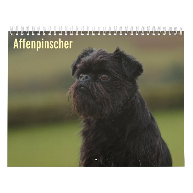 Calendário do Affenpinscher 2027 (Capa)