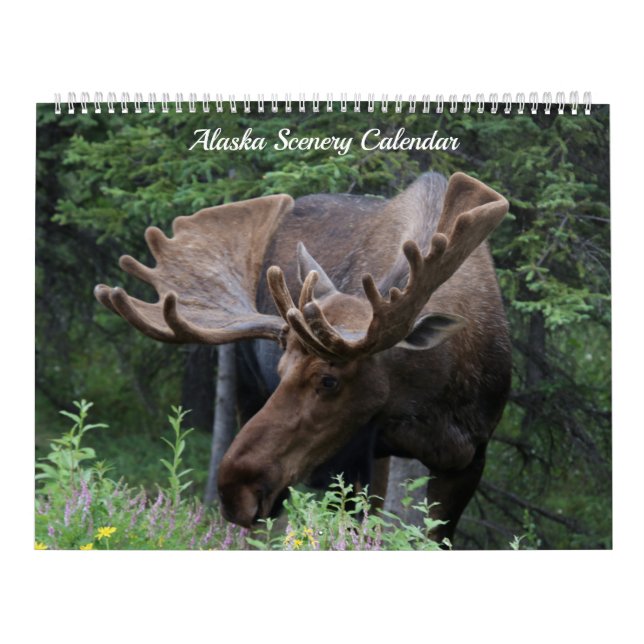 Calendário do Alaska - Disponível para qualquer an (Capa)