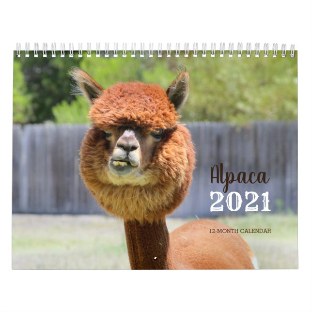 Calendário do Alpaca 2021 (Capa)