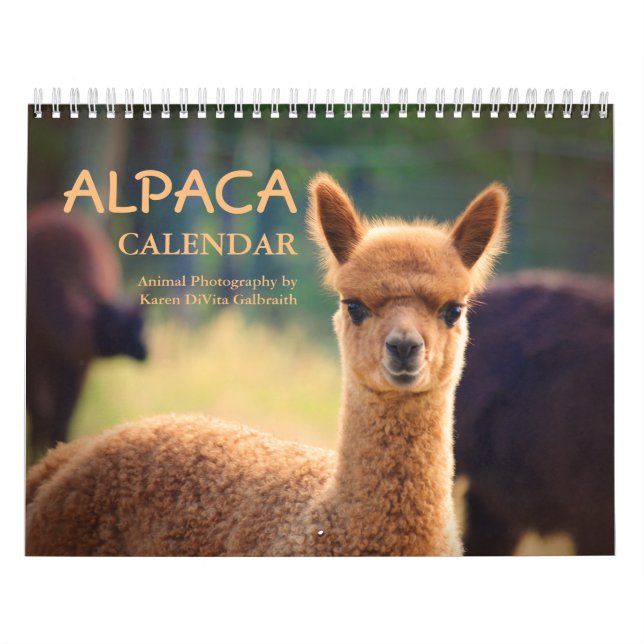 Calendário do Alpaca 2025 (Capa)
