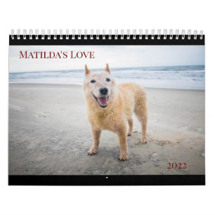 Calendário do Amor 2022 de Matilda