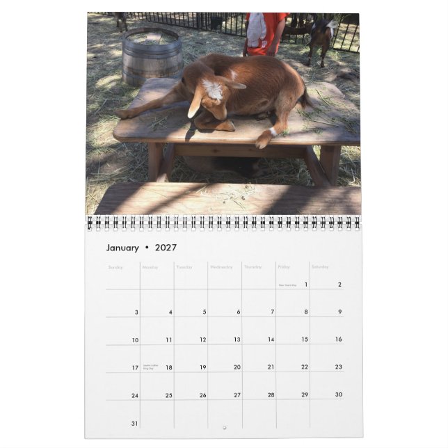 Calendário do animal de fazenda (Jan 2027)