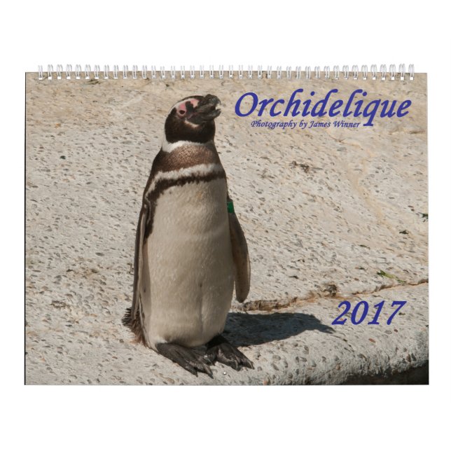 Calendário do animal de Orchidelique 2017 (Capa)