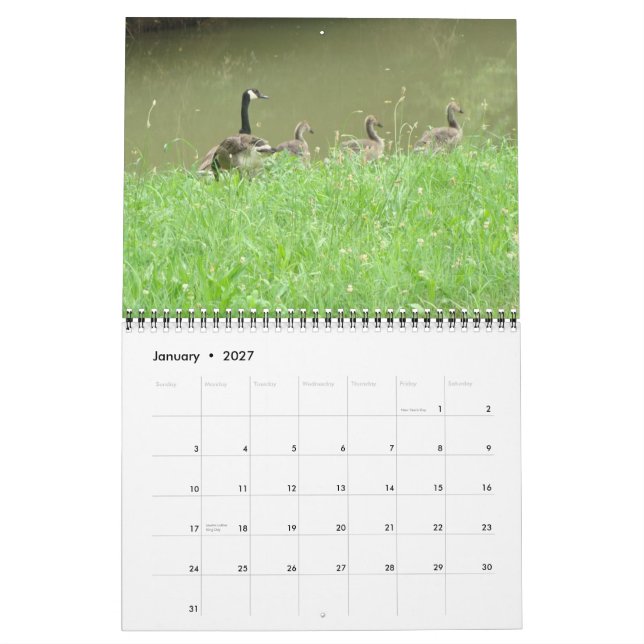 Calendário do animal selvagem (Jan 2027)