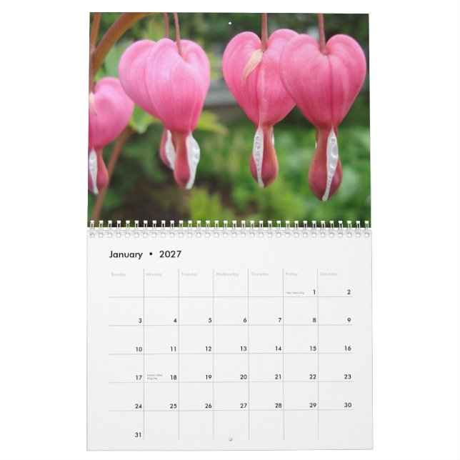 Calendário do anjo (Jan 2027)