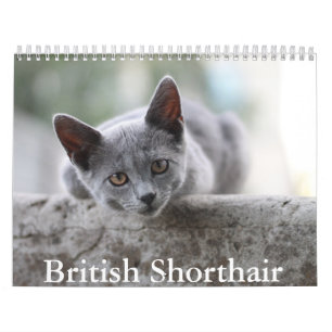 Calendário do Ar Curto Britânico