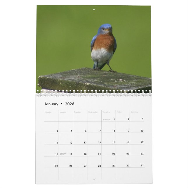 calendário do bluebird (Jan 2026)