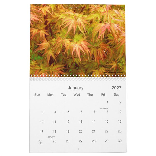 Calendário do bordo japonês (Jan 2027)