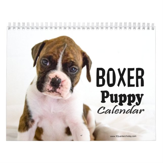 Calendário do Boxer Puppy (Capa)