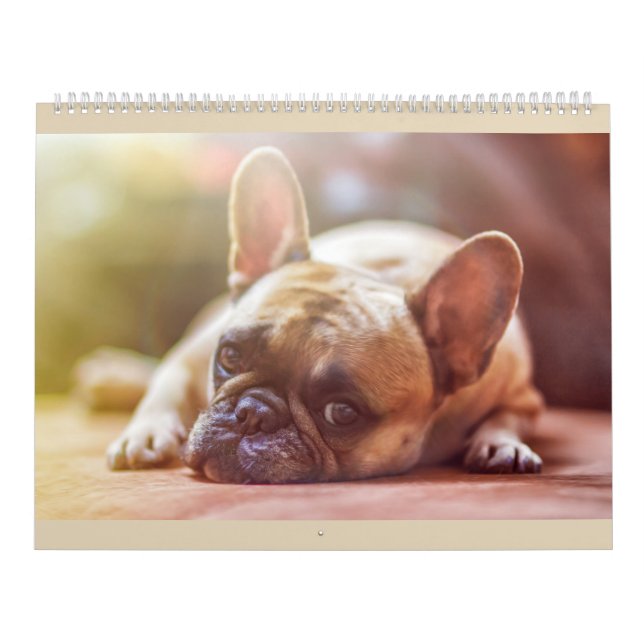 Calendário do buldogue francês (Capa)