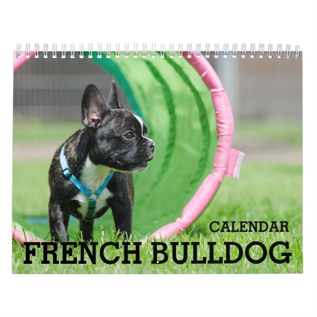 Calendário do Bulldog Francês 2026 (Capa)