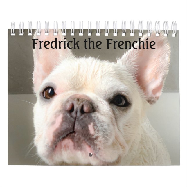 Calendário do Bulldog Francês - Fredrick, a Cale F (Capa)