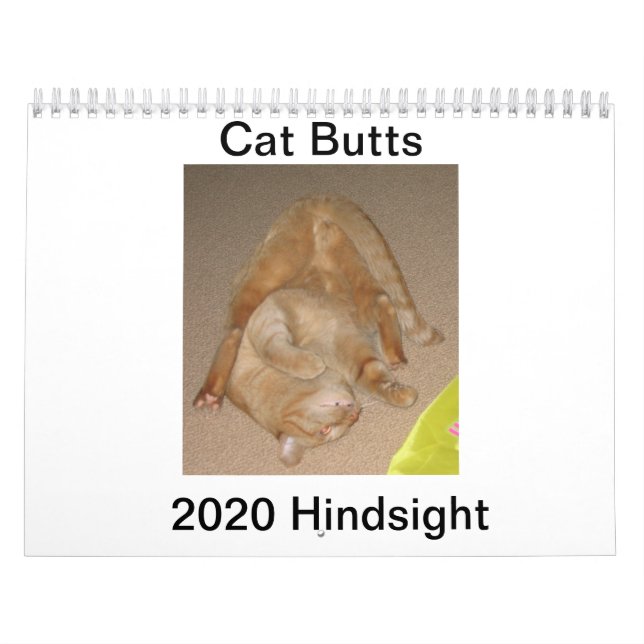 Calendário do Bumbum Cat 2020 (Capa)
