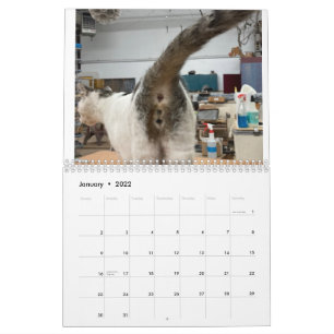Calendário do Bumbum Cat 2022