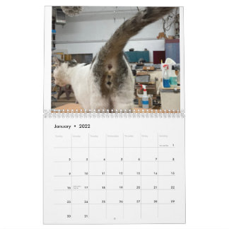 Calendário do Bumbum Cat 2022