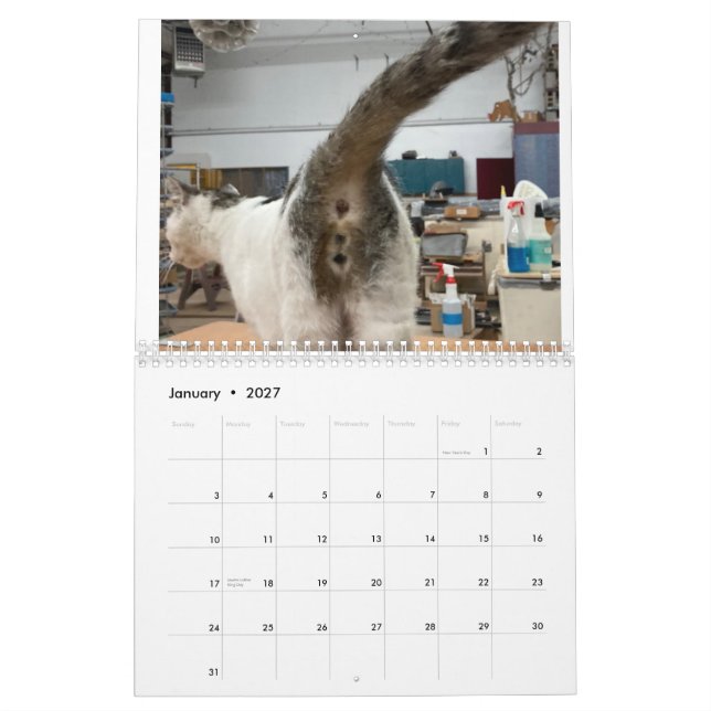 Calendário do Bumbum Cat 2022 (Jan 2027)