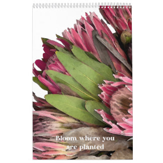 Calendário do Buquê Protea