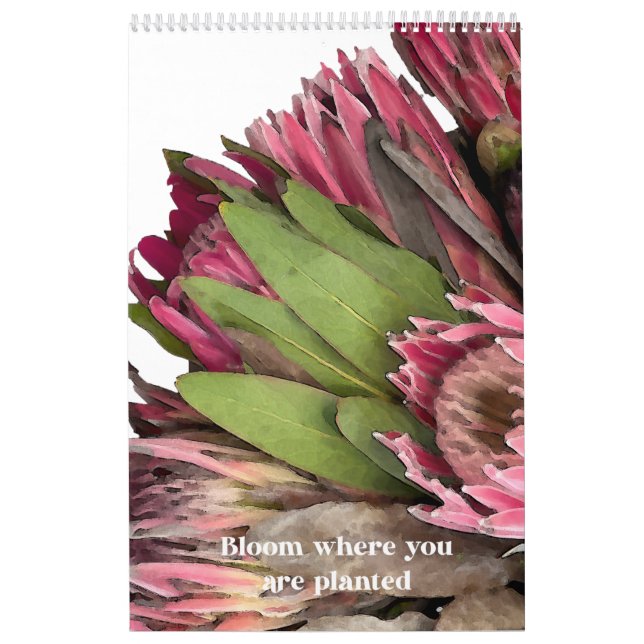 Calendário do Buquê Protea (Capa)