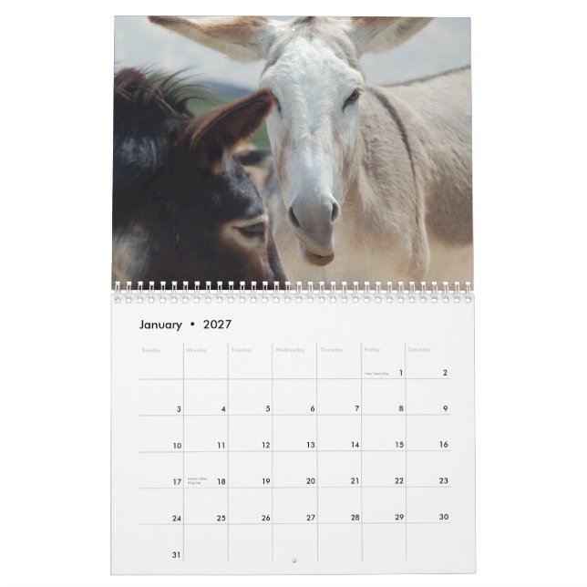 Calendário do Burro & do cavalo (Jan 2027)