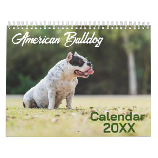 Calendário do Cachorro Bulldog Americano 2026