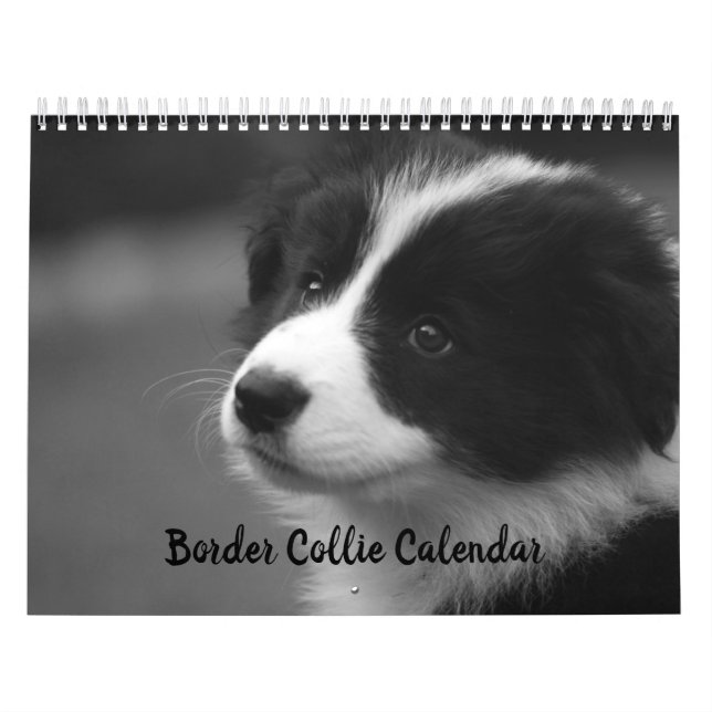 Calendário do Cachorro Collie de Borda bonito (Capa)