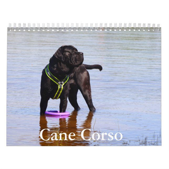 Calendário do Cachorro do Cane Corso (Capa)