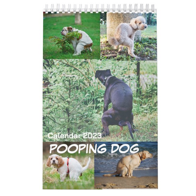 Calendário do Cachorro Pooping 2023 (Capa)