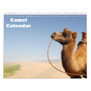 Calendário do Camel