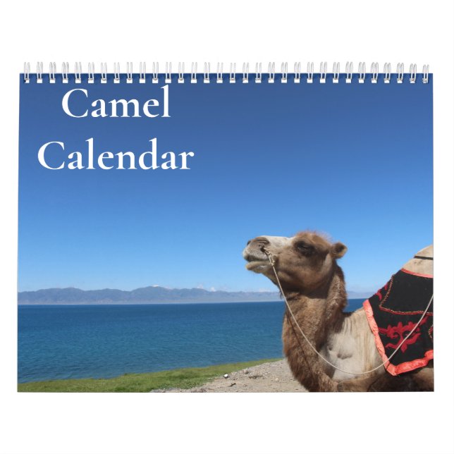 Calendário do Camel 2025 (Capa)